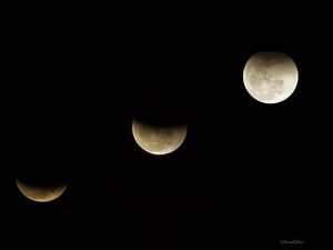 ECLIPSE DA LUA