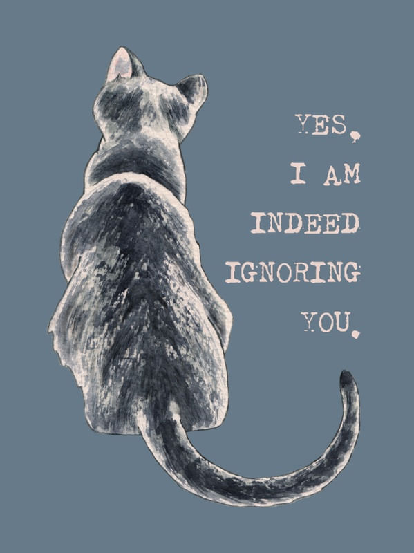 CAT FREEDOM