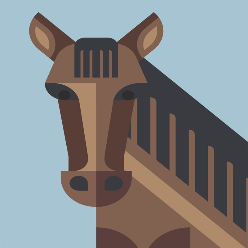 CAVALO LOW