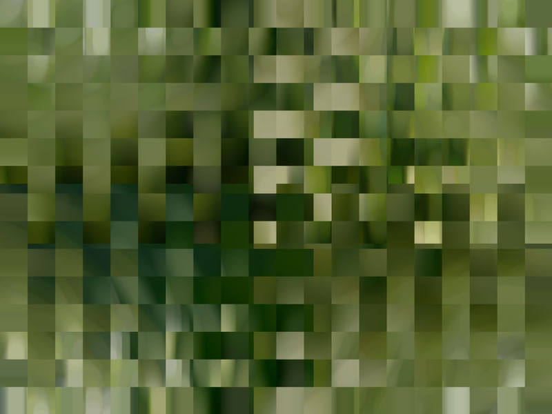 MATA ATLÂNTICA VOSTRO