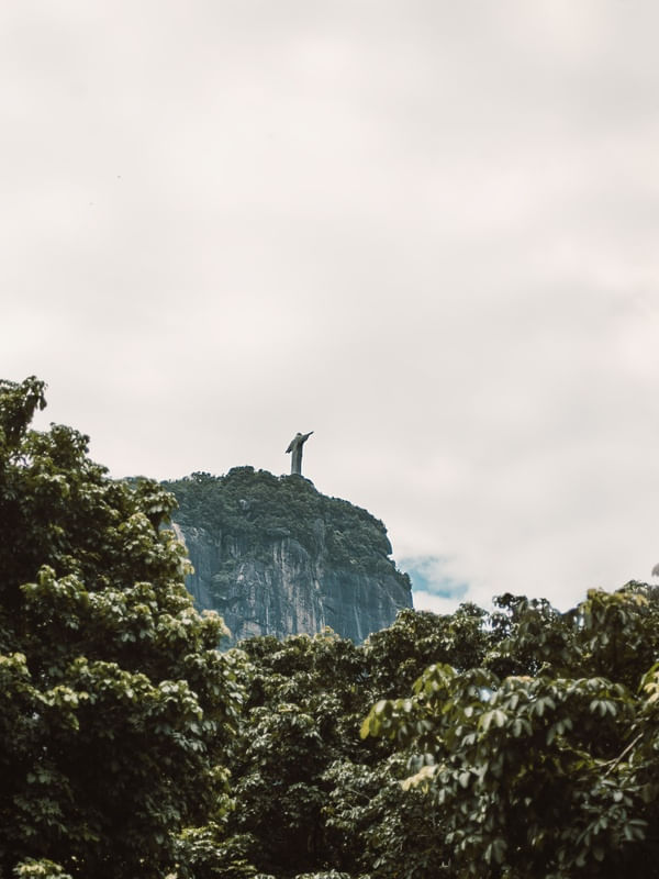 CRISTO E FLORESTA 120X160