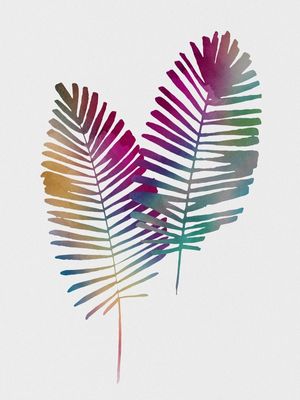 PLANTS DESIGN01