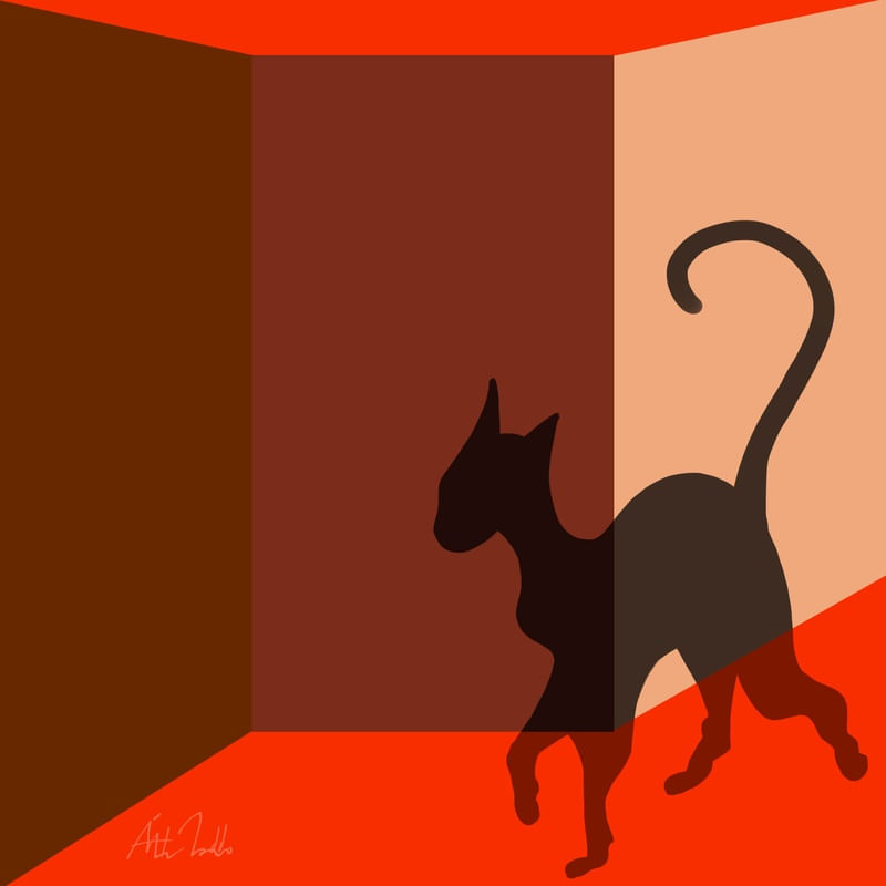 GATO NO JARDIM VERMELHO