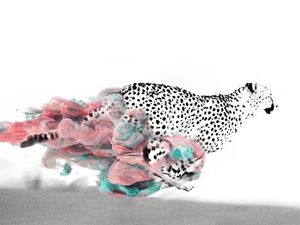 LEOPARD I