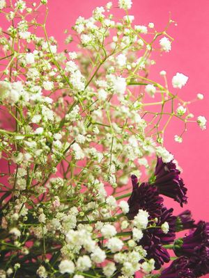 POPART FLOWERS IV