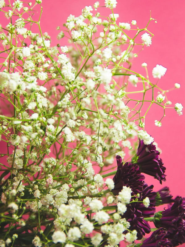 POPART FLOWERS IV
