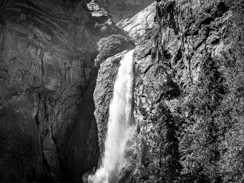 SILENT WHITE ON THE ROCKS #2