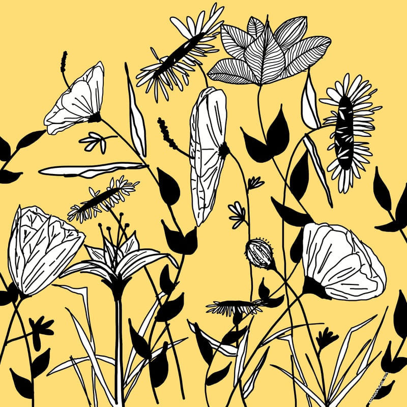JARDIN#1