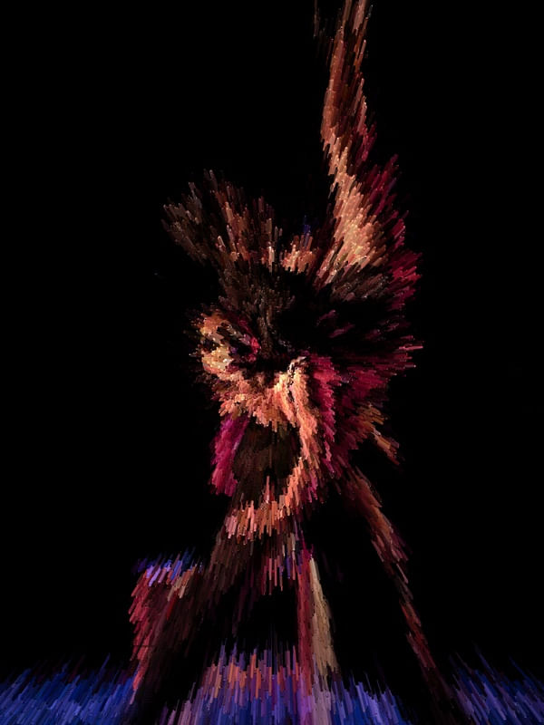 DANSEURS INCONTOURNABLES EN BOITE DE NUIT