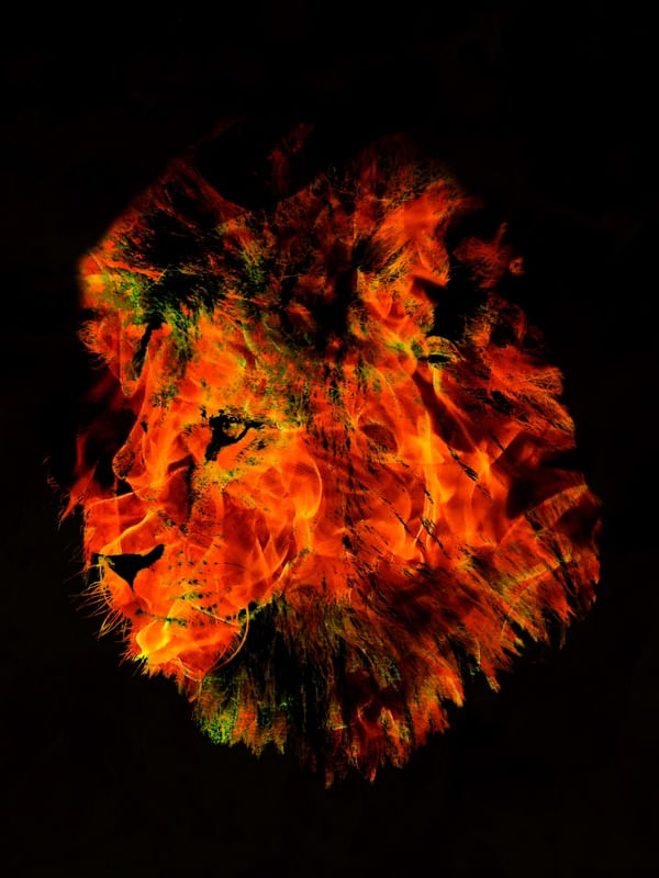 LION FR BR EX RET