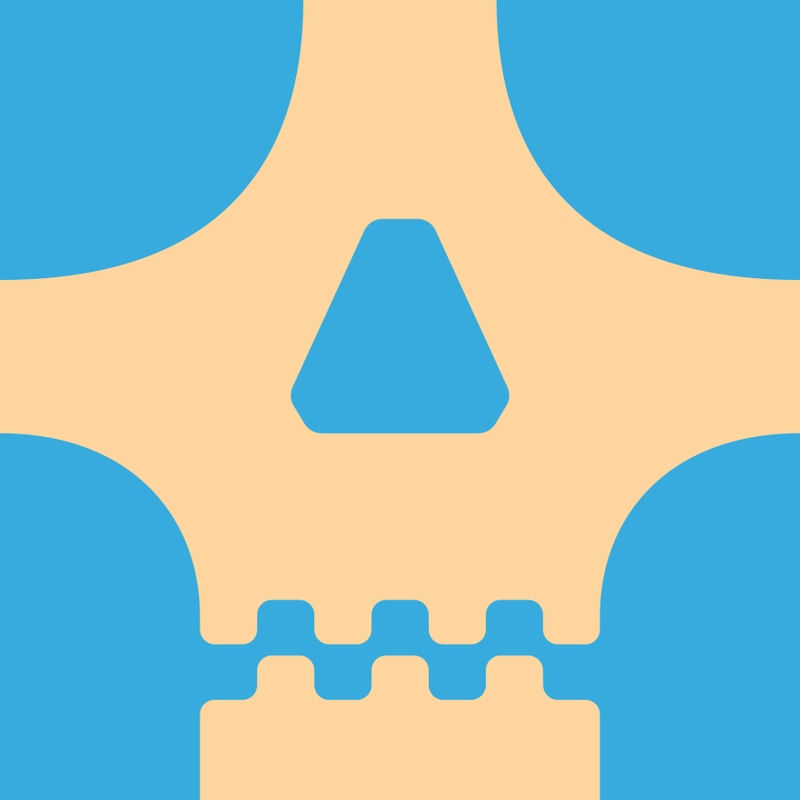 SKULL ON CANVAS 02