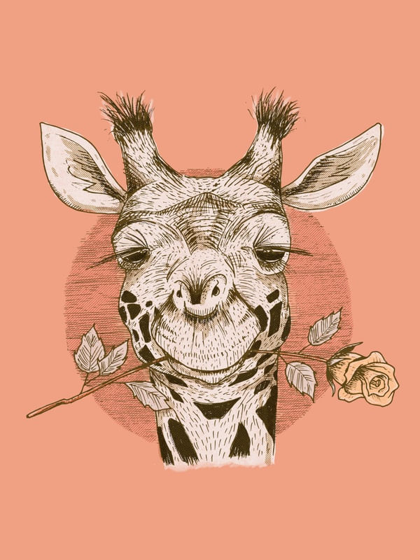 ROMÂNTICA GIRAFA