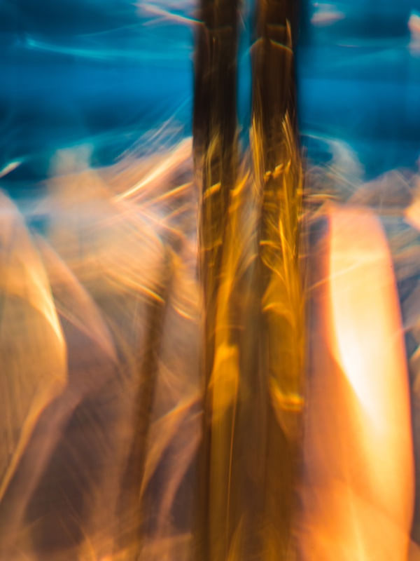 FIRE DANCING