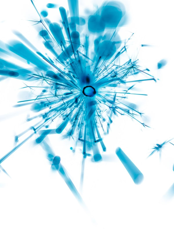 SPARK OF LIFE