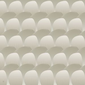 ESCAMAS-2Q