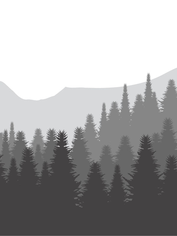 ARTE FLORESTA MINIMALISTA 2
