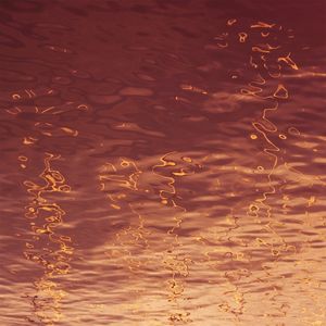 ROSEGOLD WATER