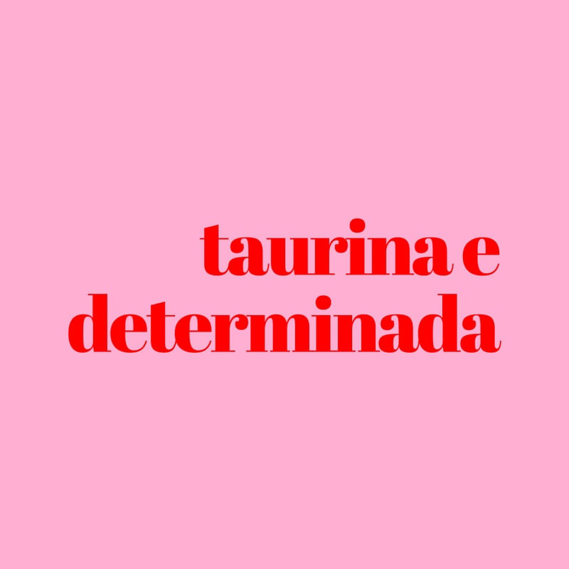 TOURO POETA DO DESTINO