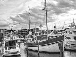 BARCOS B&W