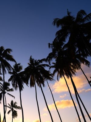 FIM DO DIA_02