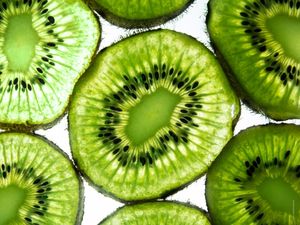 SUMMER KIWI