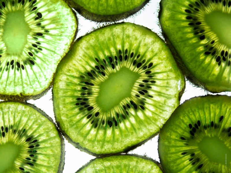 SUMMER KIWI