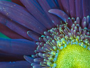 UV LIGHT SERIES (DETALHES) (1)