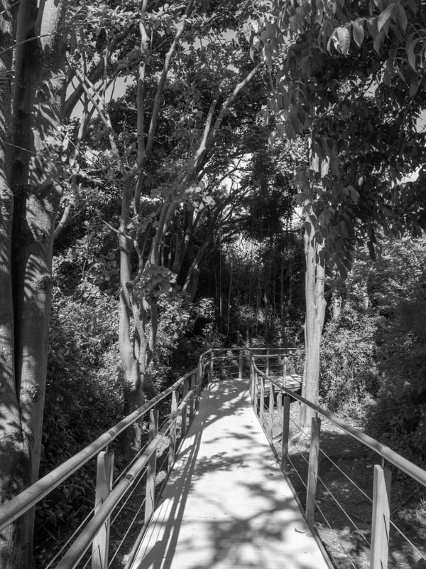 CAMINHOS EM NORONHA NIGRI