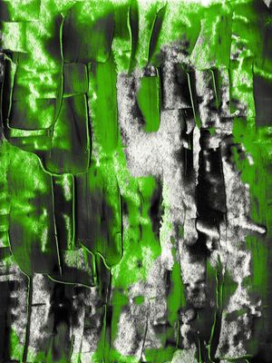 CITY SMUDGE, BOLD GREEN