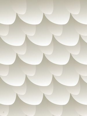 ESCAMAS-6