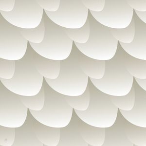 ESCAMAS-6Q