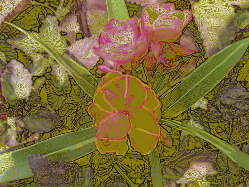 PAZ E FLOR