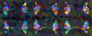 FLORES ABSTRATAS I ES