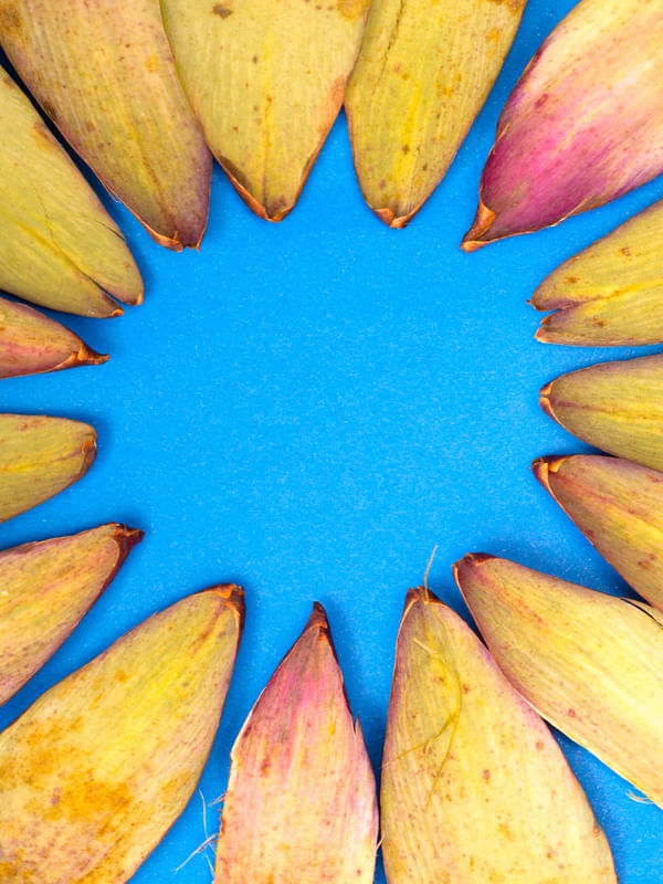 FOLHAS GEOMETRICAS, FUNDO AZUL