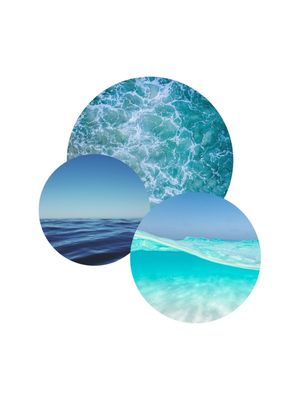 THE OCEAN PLANETS
