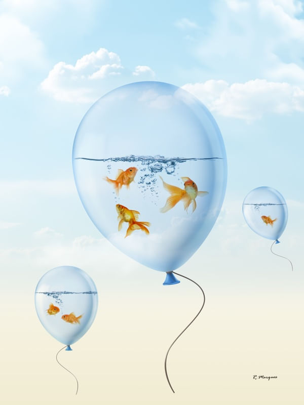 BALLOONS FISH IN THE SKY