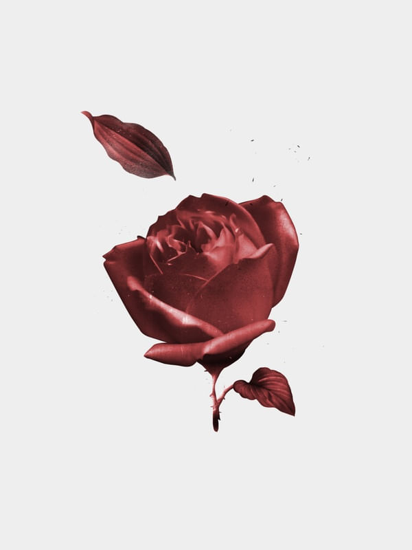 LA ROSA ROJA