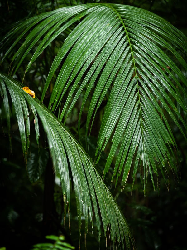 NADA SUPERA A PAZ QUE A NATUREZA NOS TRANSMITE