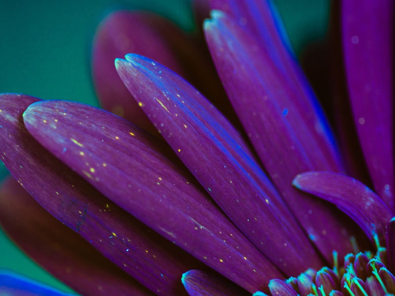 UV LIGHT SERIES (DETALHES) (5)