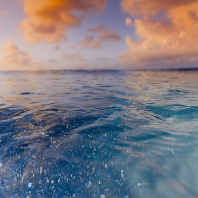 DESERT SEA