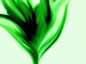 CHAMA VERDE
