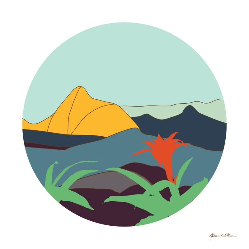 ARAPOTI PICO DA TIJUCA