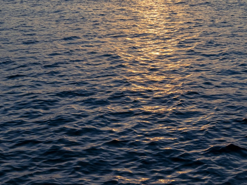 GRANDE OCEANO 2