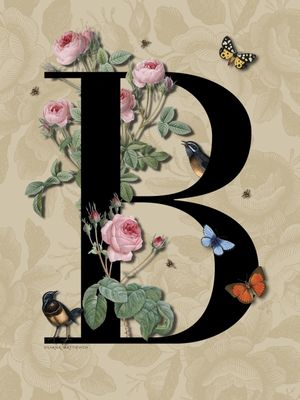 B DE BELO