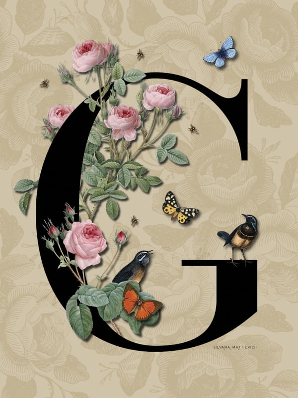 G DE GRANDIOSA