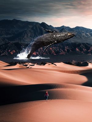 BALEIA NO DESERTO