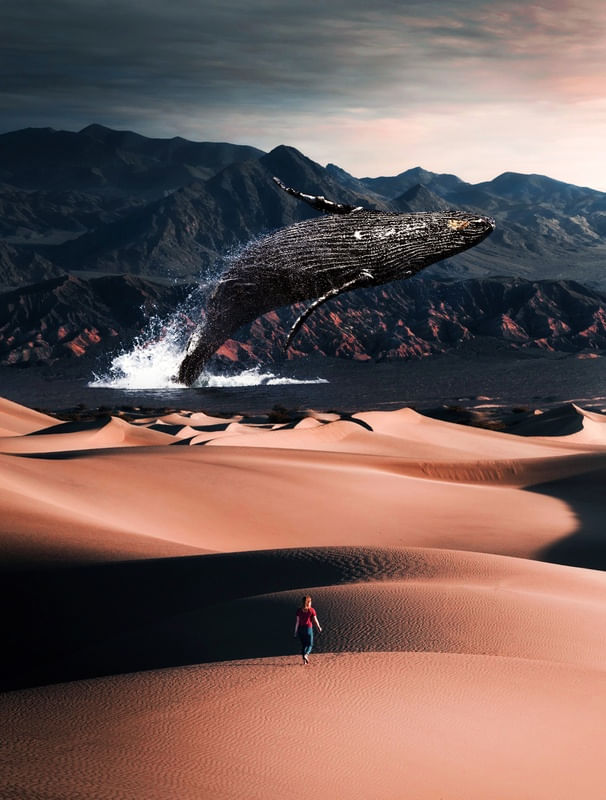 BALEIA NO DESERTO