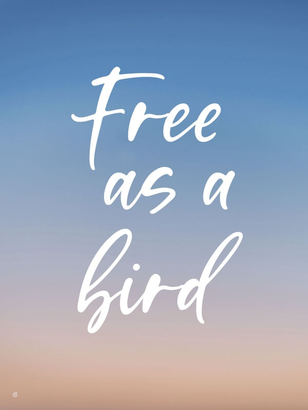 FREE AS A BIRD IN THE SKY