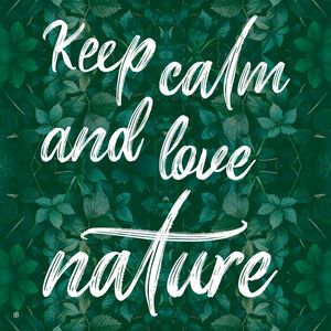 KEEP CALM AND LOVE NATURE Q