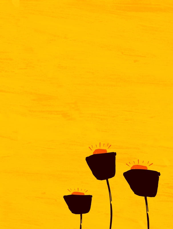 FLORES NO DESERTO